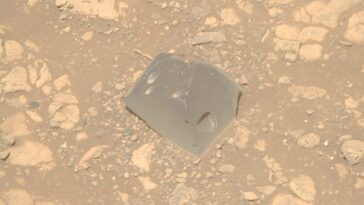 Une étrange roche sur Mars découverte par le rover Persévérance : la NASA l'a surnommée "Colline des Crânes" 20 Strana roccia su Marte trovata dal rover Perseverance: la NASA l’ha chiamata “Skull Hill”