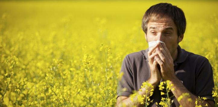 homme parmi des fleurs avec un mouchoir