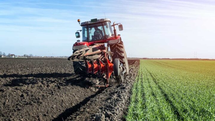 Bientôt, les plantes pourront "parler" et "écouter" les agriculteurs 5 1746620971 553 Bientot les plantes pourront parler et ecouter les agriculteurs
