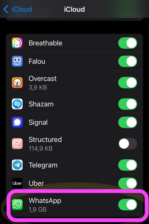 WhatsApp encombre ton iCloud ? Voici comment faire le ménage 17 WhatsApp Backup iCloud ein aus schalten