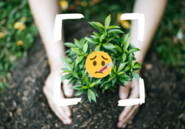 Ne laissez pas mourir vos plantes, la meilleure application pour détecter les maladies ce printemps 6 Ne laissez pas mourir vos plantes, la meilleure application pour détecter les maladies ce printemps