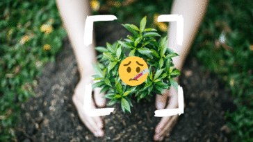 Ne laissez pas mourir vos plantes, la meilleure application pour détecter les maladies ce printemps 19 Ne laissez pas mourir vos plantes, la meilleure application pour détecter les maladies ce printemps