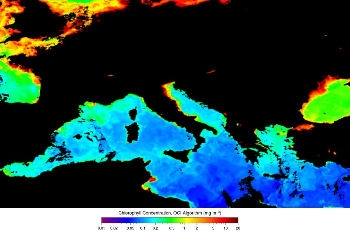 Mer Adriatique "verte" à cause des marées algales : quelles côtes sont les plus touchées par ce phénomène 3 Concentration de chlorophylle dans les eaux mesurée par le spectromètre MODIS à bord du satellite Aqua de la NASA entre le 1er et le 8 mai 2025 / Crédit : NASA