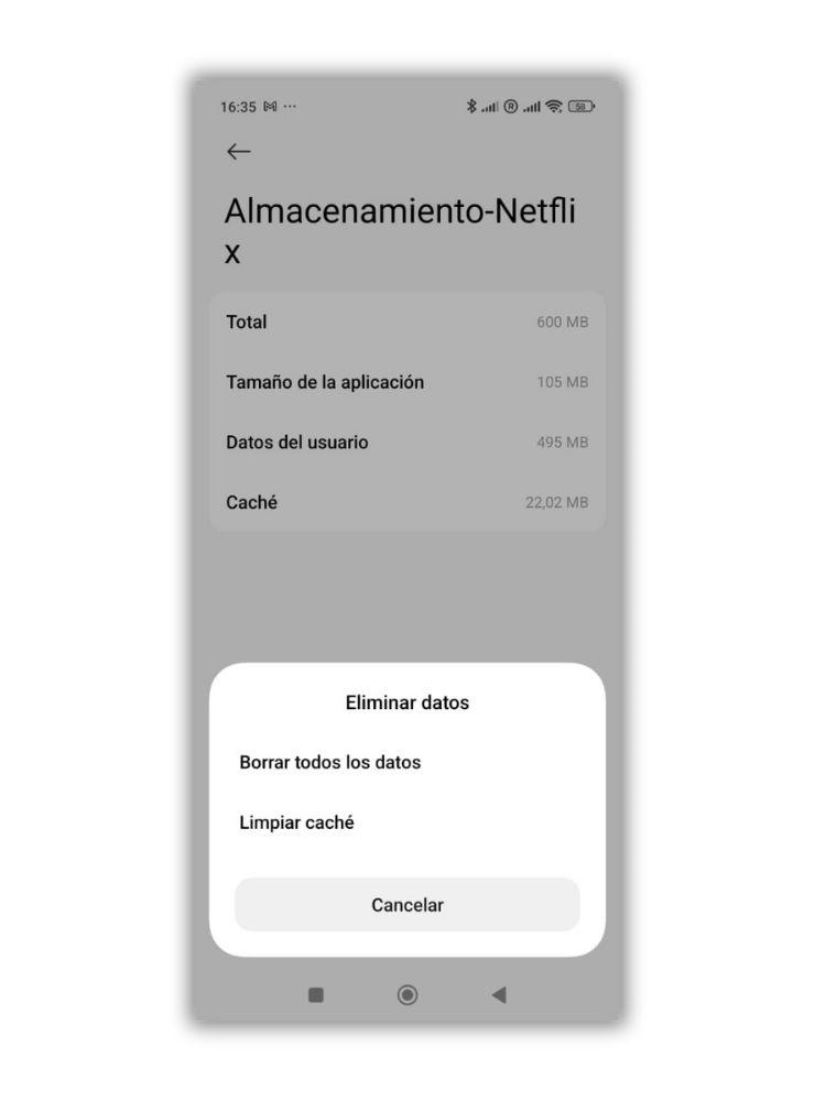 borrar cache aplicaciones netflix