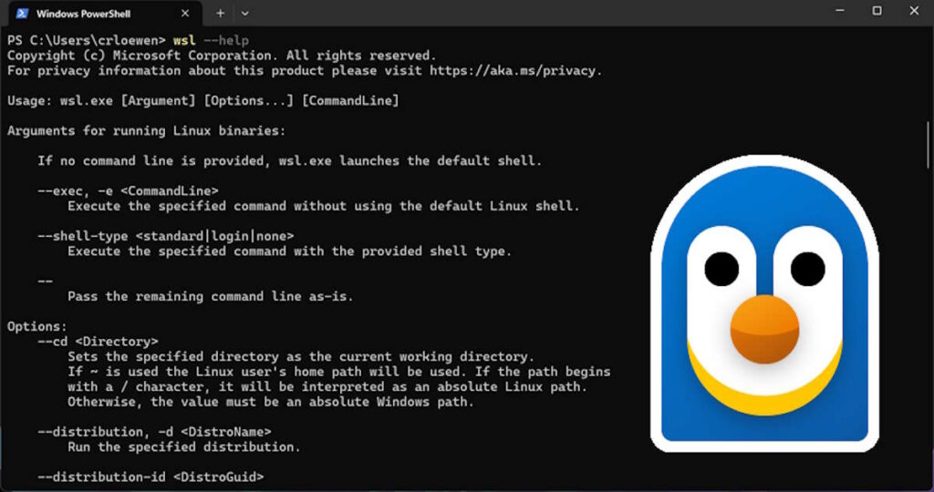 Microsoft franchit une étape décisive ! Le sous-système Windows pour Linux (WSL) devient open-source 3 Microsoft WSL open-source Subsistema Windows para Linux