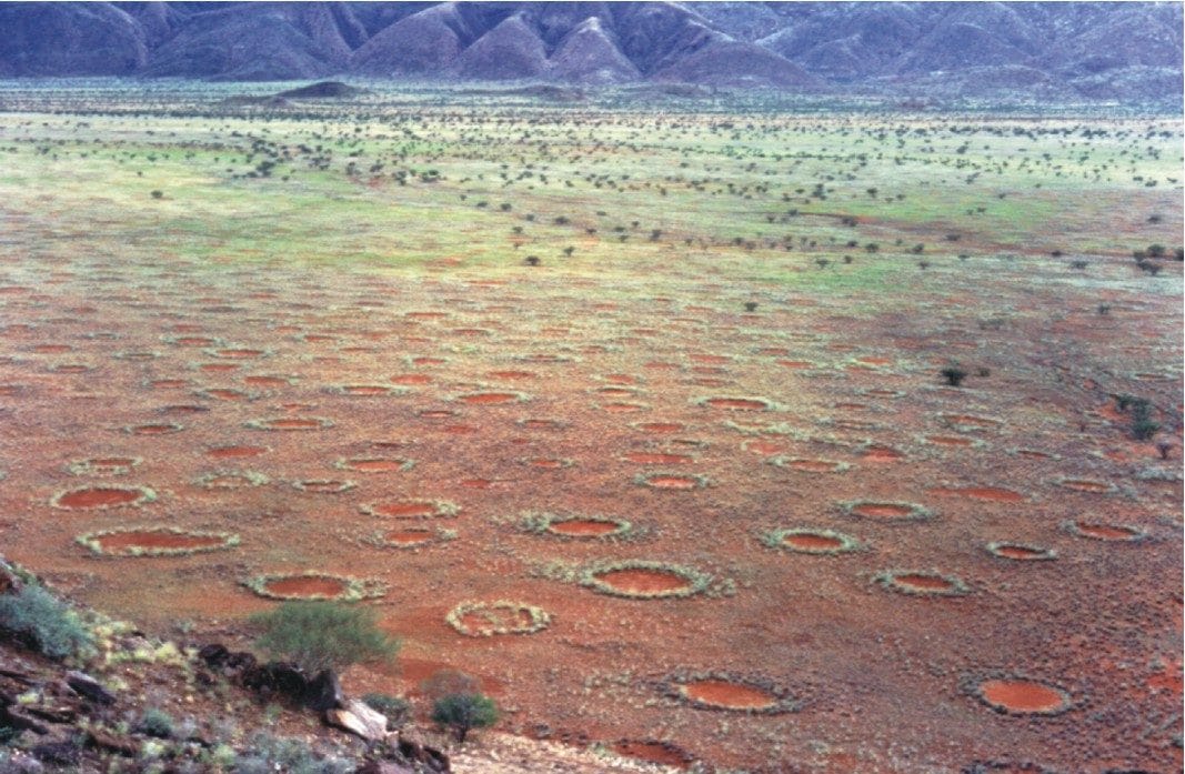 Que sont ces mystérieux cercles de fées en Afrique et comment se forment-ils ? 3 Cerchi delle fate. Credit: Stephan Getzin