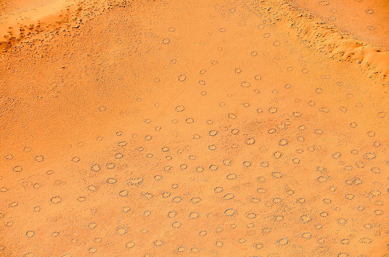 Que sont ces mystérieux cercles de fées en Afrique et comment se forment-ils ? 4 Cerchi delle fate. Credit: Olga Ernst e Hp.Baumeler