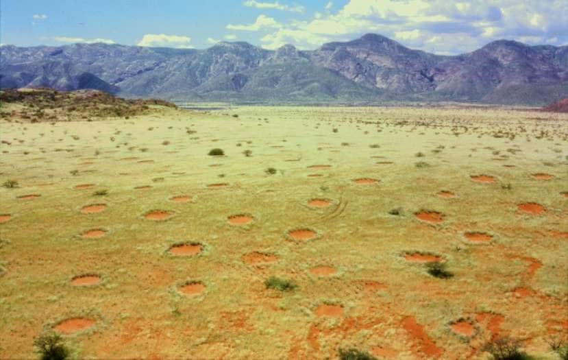 Que sont ces mystérieux cercles de fées en Afrique et comment se forment-ils ? 5 Cerchi delle fate. Credit: Thorsten Becker