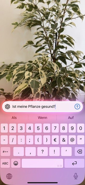 L'intelligence visuelle sur iPhone : à la fois brillante et légèrement superflue 8 ChatGPT plante docteur