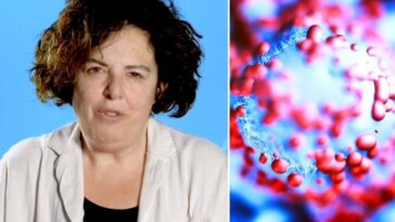 Comment expliquer l'augmentation des cas d'autisme : la neuropsychiatre Bravaccio démêle les spéculations 4 La neuropsychiatre infantile Carmela Bravaccio de l’Université Federico II de Naples explique les raisons derrière l'augmentation des cas d'autisme