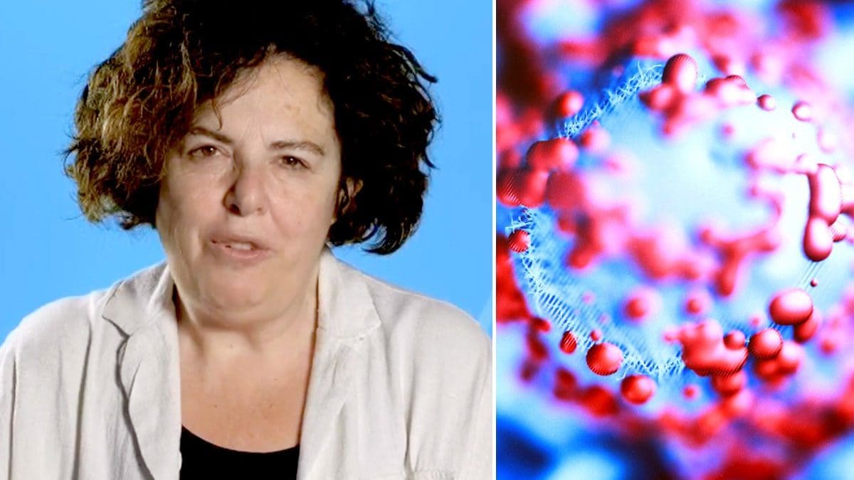 Comment expliquer l'augmentation des cas d'autisme : la neuropsychiatre Bravaccio démêle les spéculations 2 La neuropsychiatre infantile Carmela Bravaccio de l’Université Federico II de Naples explique les raisons derrière l'augmentation des cas d'autisme
