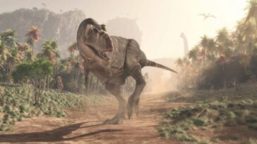 Découvrez les origines du T.rex : nous savons enfin d'où vient le célèbre tyrannosaure 12 Image