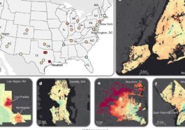 Vitesse moyenne de l'affaissement du sol dans 28 villes des États-Unis / Crédit : Nature Cities