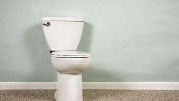 Faire cette chose aux toilettes augmente presque de 50% le risque d'hémorroïdes, selon une étude 19 Image