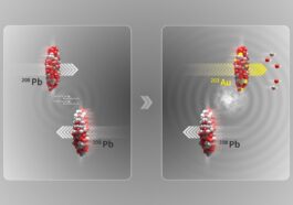 Illustration de deux faisceaux d'ions de plomb (208 Pb) qui se croisent sans entrer en collision : durant le processus de dissociation électromagnétique, un photon interagissant avec un noyau de plomb peut provoquer des oscillations de sa structure interne, entraînant l’expulsion de quelques neutrons (deux) et protons (trois), créant ainsi un noyau d’or (203 Au) / Crédit : CERN