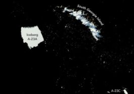 L'iceberg A23a, le plus grand au monde, se brise en milliers de morceaux 15 Mille morceaux d'iceberg se sont détachés d'A23a, le plus grand iceberg du monde, qui est pris au large de la Géorgie du Sud/ Crédit : NASA/Aqua