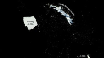 L'iceberg A23a, le plus grand au monde, se brise en milliers de morceaux 12 Mille morceaux d'iceberg se sont détachés d'A23a, le plus grand iceberg du monde, qui est pris au large de la Géorgie du Sud/ Crédit : NASA/Aqua
