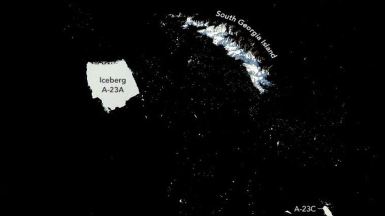 L'iceberg A23a, le plus grand au monde, se brise en milliers de morceaux 1 Mille morceaux d'iceberg se sont détachés d'A23a, le plus grand iceberg du monde, qui est pris au large de la Géorgie du Sud/ Crédit : NASA/Aqua