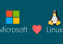 Microsoft franchit une étape décisive ! Le sous-système Windows pour Linux (WSL) devient open-source 56 Microsoft franchit une étape décisive ! Le sous-système Windows pour Linux (WSL) devient open-source