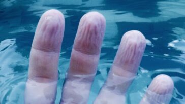 Pourquoi nos doigts se ride dans l'eau : découvrez la raison étonnante ! 12 Image