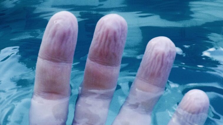 Pourquoi nos doigts se ride dans l'eau : découvrez la raison étonnante ! 1 Image