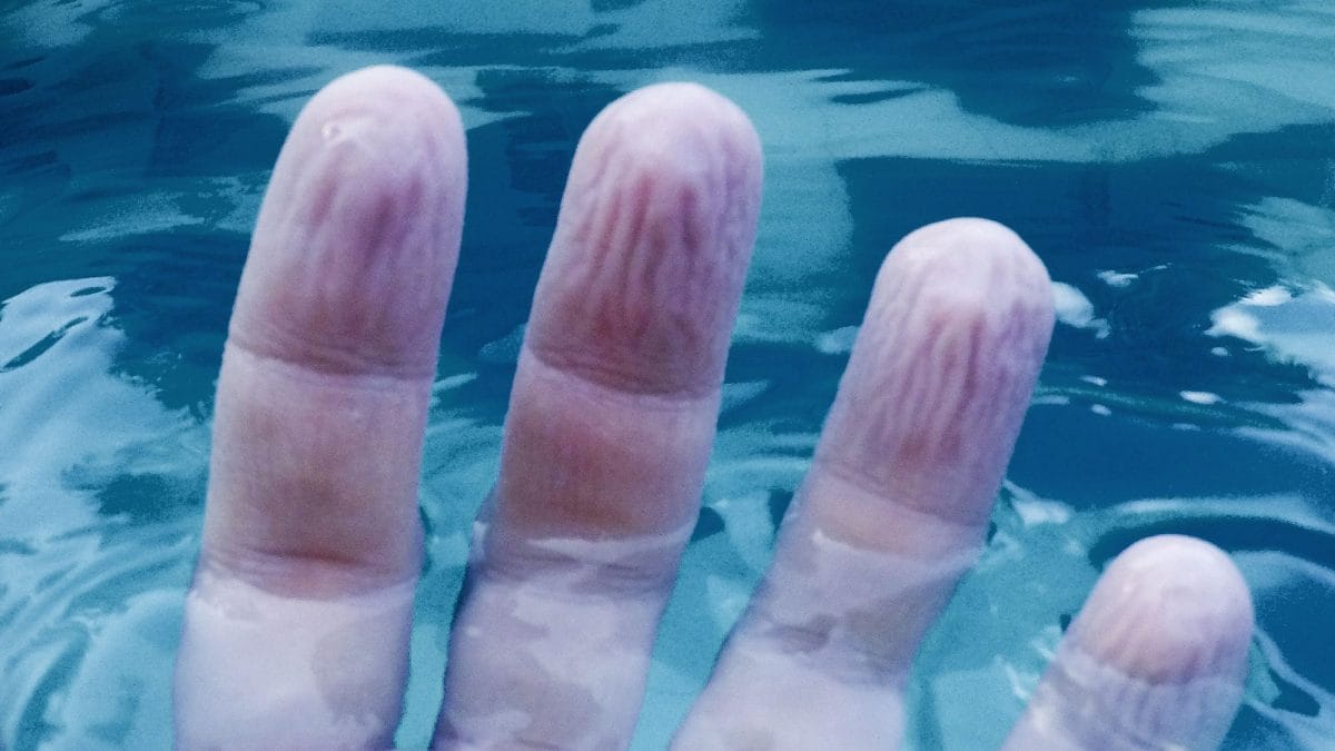 Pourquoi nos doigts se ride dans l'eau : découvrez la raison étonnante ! 2 Image
