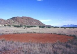 Que sont ces mystérieux cercles de fées en Afrique et comment se forment-ils ? 43 Cerchio delle fate in Namibia. Credit: Thorsten Becker/Wikipedia
