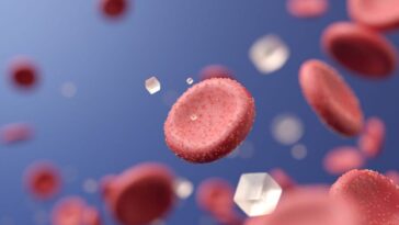 Qu'est-ce que le diabète de type 5, la nouvelle forme de diabète officiellement reconnue : symptômes et en quoi il diffère 15 Immagine