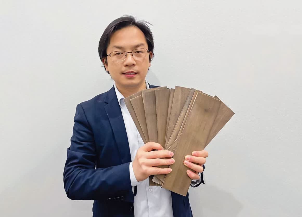 Superwood : l'alternative durable qui remplace l'acier et le béton 2 Superwood lalternative durable qui remplace lacier et le beton