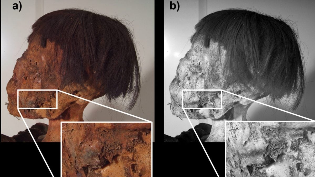 Tatouages étranges découverts sur une momie vieille de 800 ans : le mystère de la « S » au poignet 2 Image de l