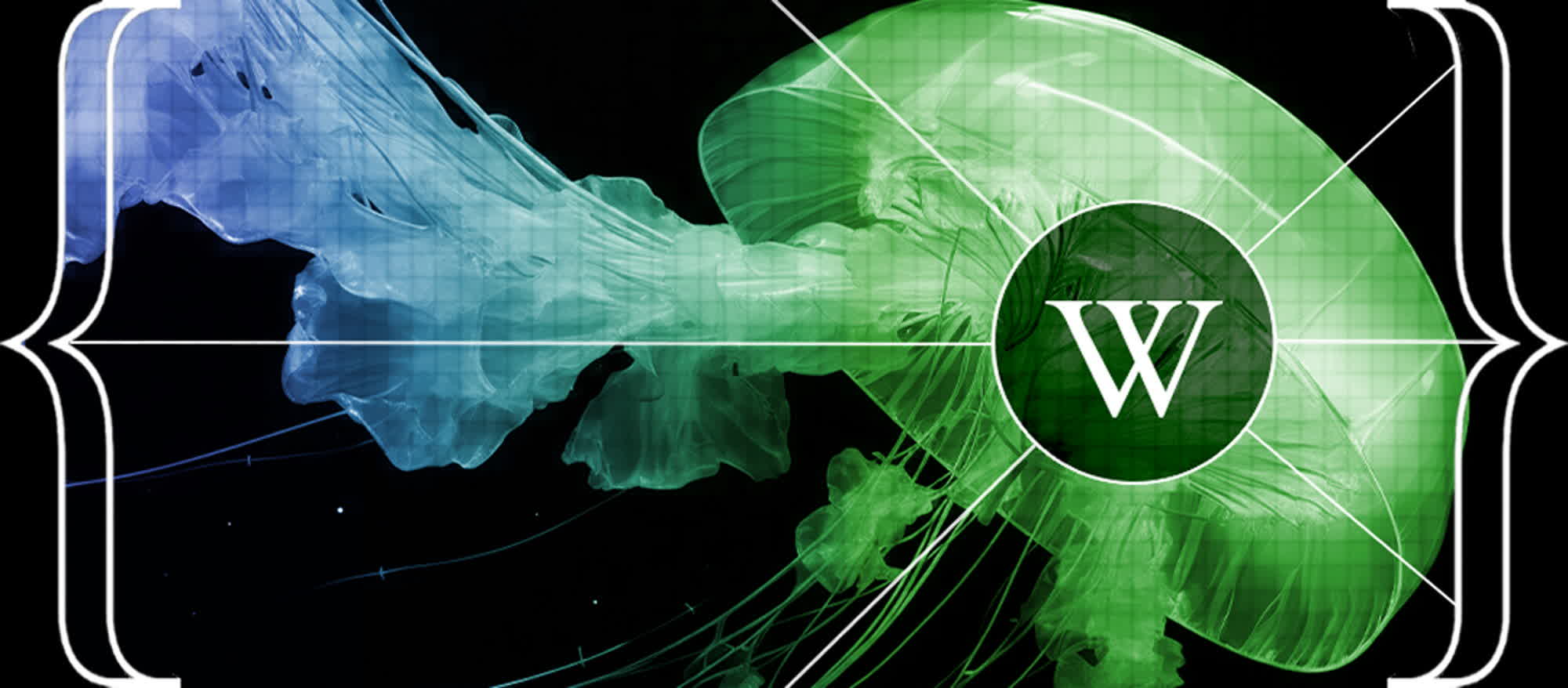 Wikipedia adopte l'IA générative pour soutenir sa communauté de bénévoles 2 Wikipedia adopte lIA generative pour soutenir sa communaute de benevoles