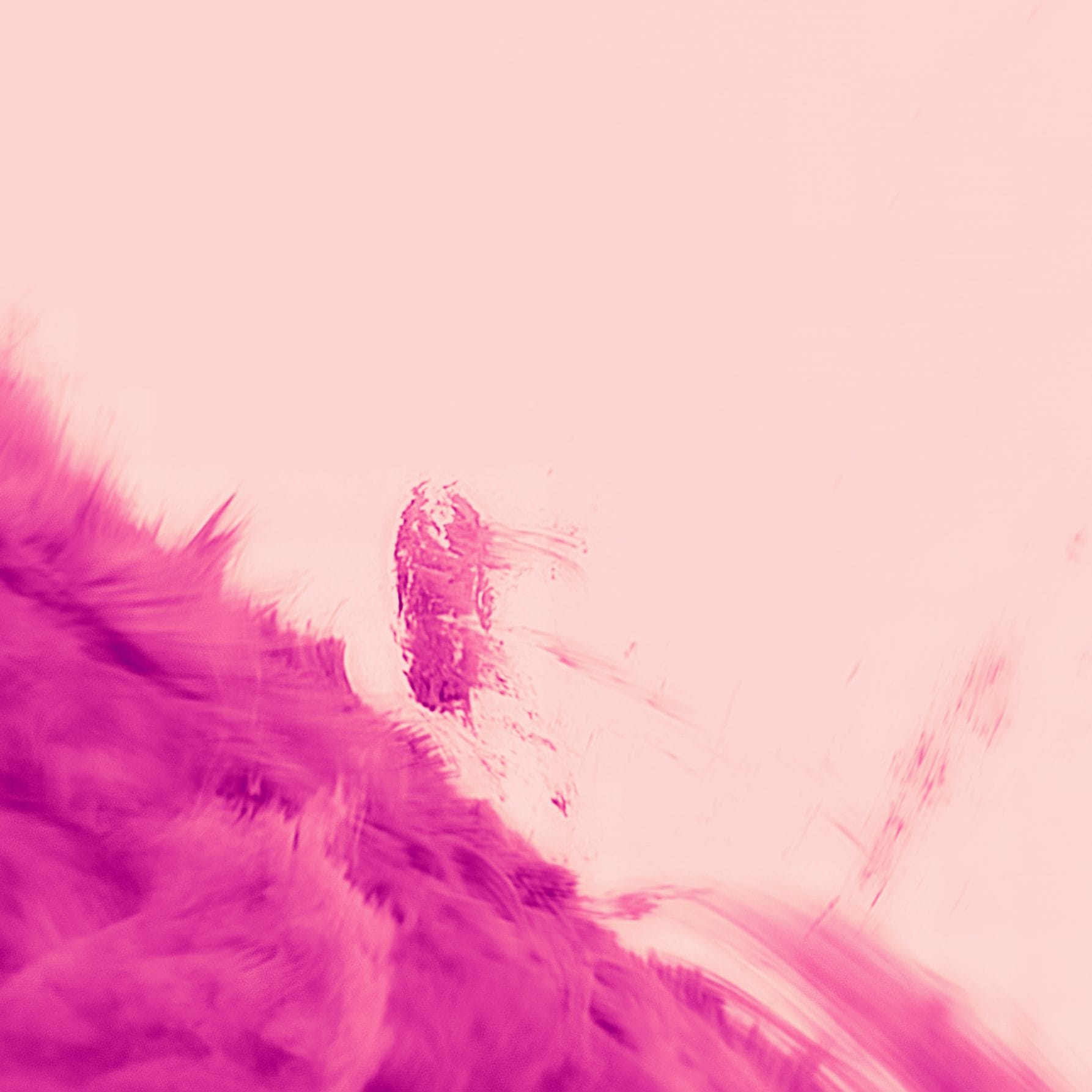 Crédit : Schmidt et al./NJIT/NSO/AURA/NSF
