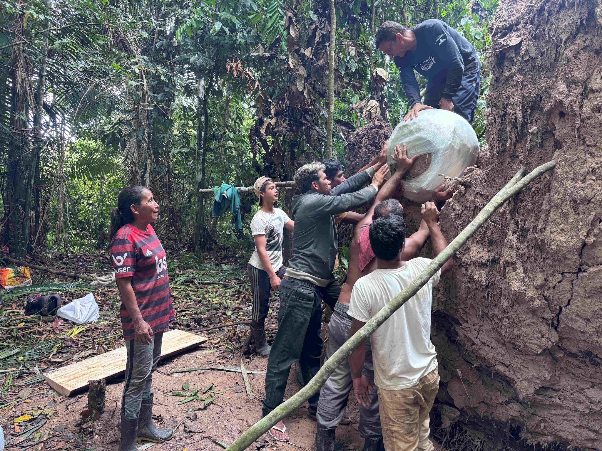 Des sphères gigantesques et mystérieuses découvertes sous un arbre tombé en Amazonie : une découverte macabre à l'intérieur 4 Crédit : Georgea Holanda
