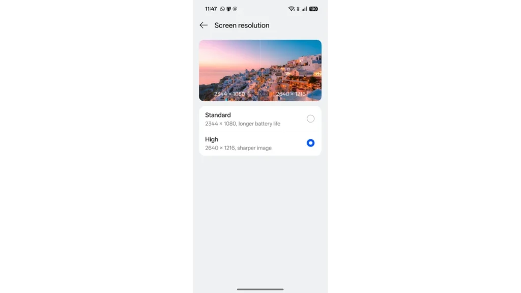OnePlus 13s screen resolution