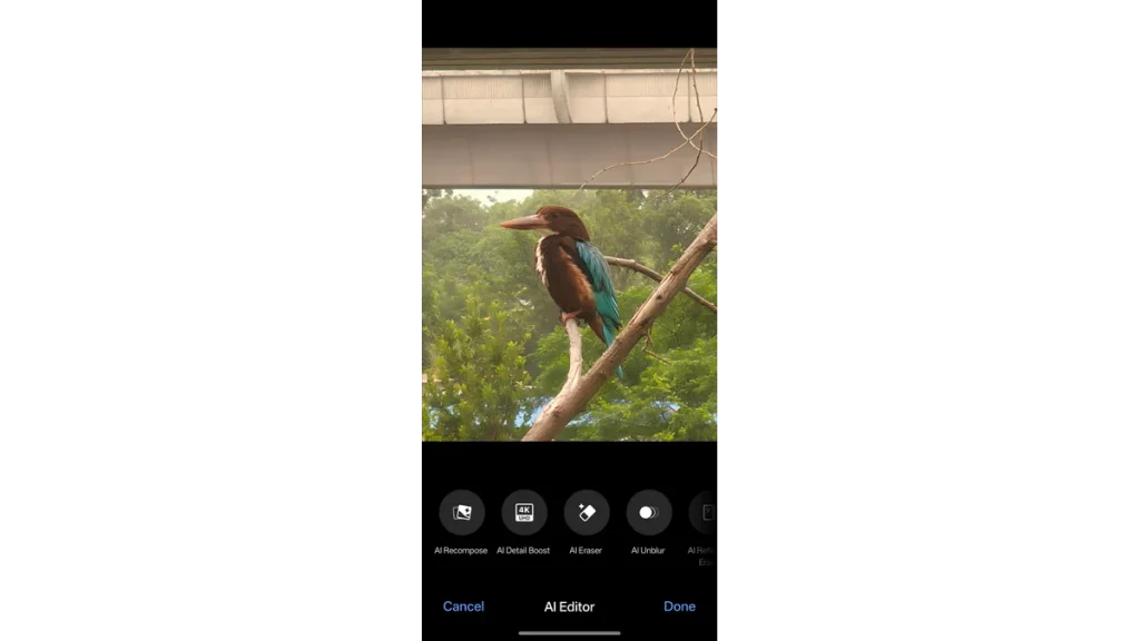 OnePlus 13s AI Gallery Editor