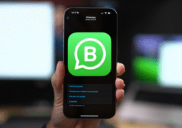 WhatsApp Business : la réalité crue derrière le battage médiatique 83 WhatsApp Business : la réalité crue derrière le battage médiatique