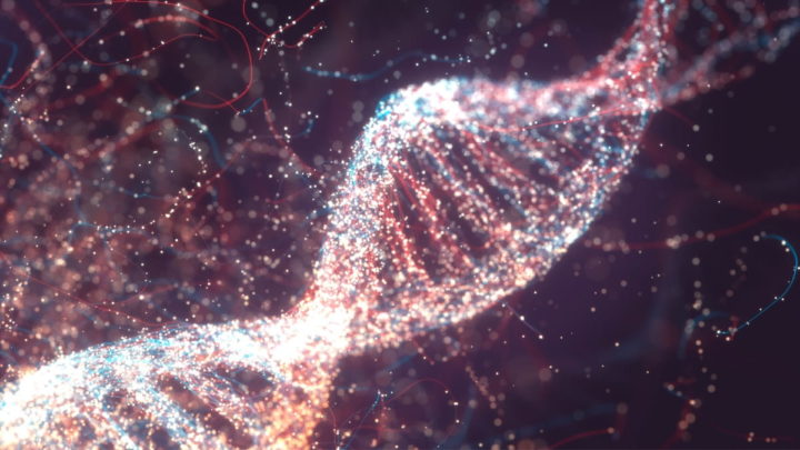 AlphaGenome : la nouvelle IA de Google prédit les maladies grâce à l'ADN 3 1751052966 736 AlphaGenome la nouvelle IA de Google predit les maladies