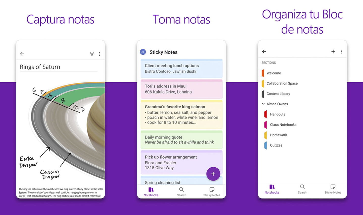Les 10 meilleures applis pour étudier en 2025 : optimise, révise et booste tes résultats 6 Microsoft OneNote application pour étudier