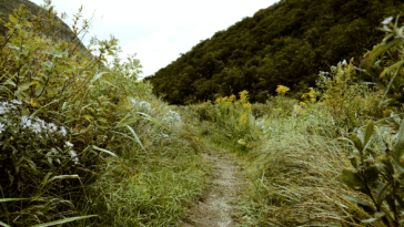 Trouver des itinéraires de randonnée avec Google Maps, Outdooractive et Wikiloc 6 Trouver des itinéraires de randonnée avec Google Maps, Outdooractive et Wikiloc