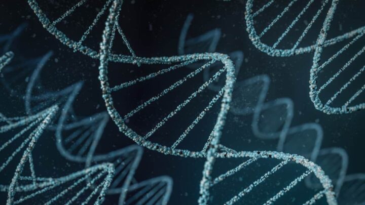 AlphaGenome : la nouvelle IA de Google prédit les maladies grâce à l'ADN 2 AlphaGenome la nouvelle IA de Google predit les maladies