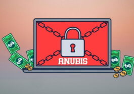 Anubis, le dangereux logiciel malveillant qui non seulement chiffre vos données, mais les détruit et les rend irrécupérables