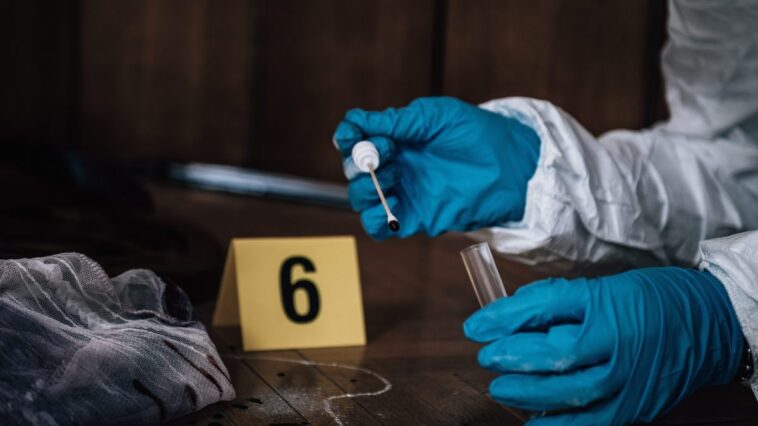Ce que l'ADN révèle sur la scène de crime : ce généticien dévoile des résultats inimaginables il y a 30 ans 1 Image