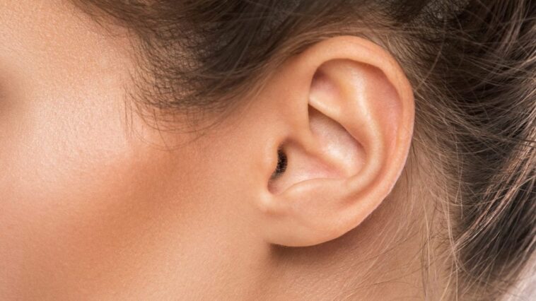 Dans l'odeur de la cire, des signes précoces de la maladie de Parkinson révélés : comment est-ce possible ? 1 Image