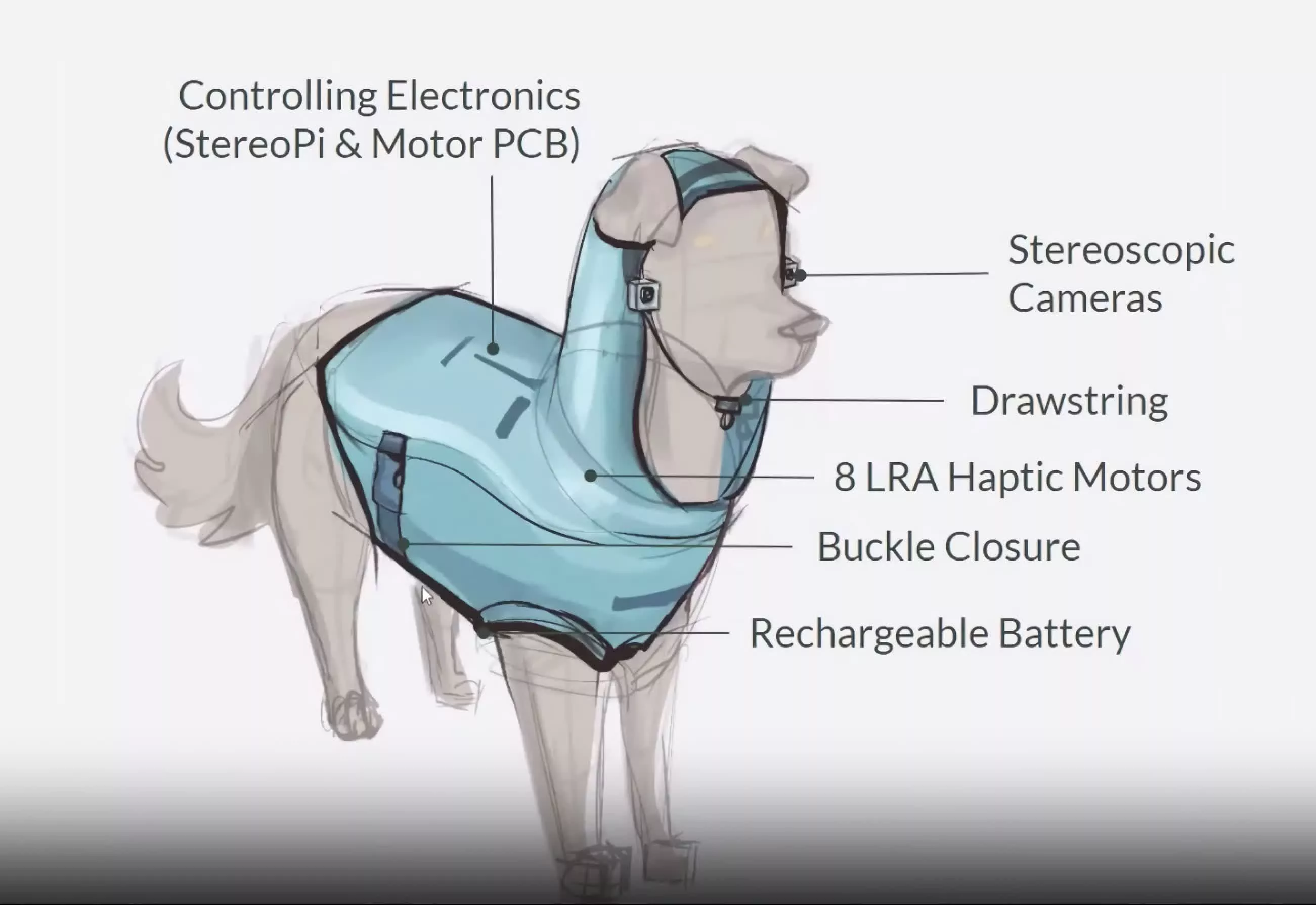 Des étudiants de Rice créent un gilet high-tech pour aider les chiens aveugles à s'orienter 2 Des etudiants de Rice creent un gilet high tech pour aider