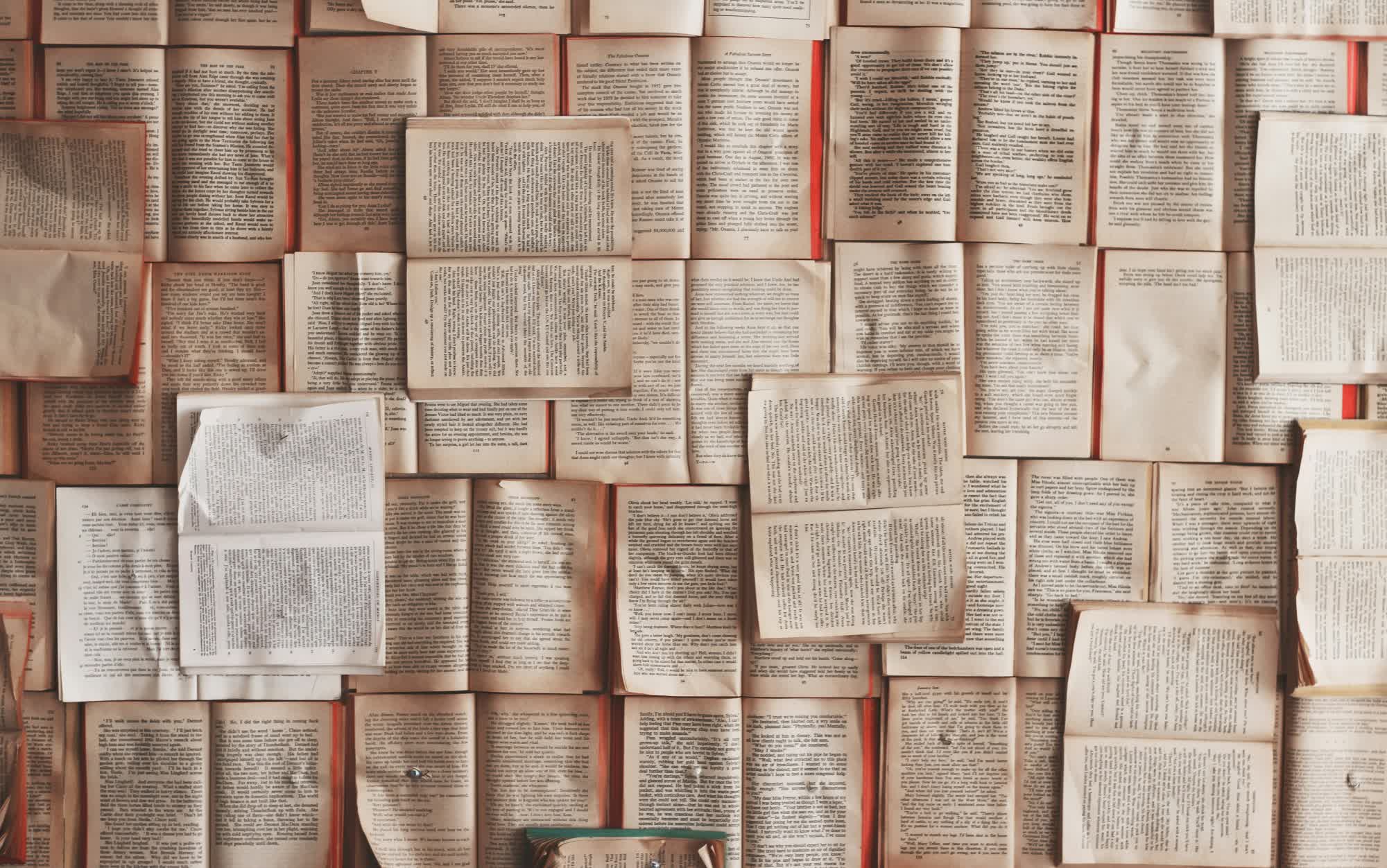 Destruction de livres pour l'entraînement des IA : une révélations d'Anthropic 2 Destruction de livres pour lentrainement des IA une revelations