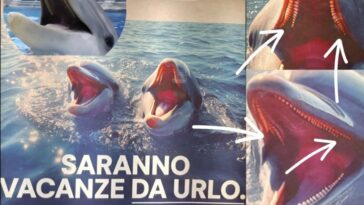 La publicité avec des dauphins dans le métro de Rome est incroyable : "Réalisée avec l'IA, ils ont des dents de requin" 18 Le cartel publicitaire à la métro de Rome. Crédit : Andrea Bonifazi / Scienze Naturali