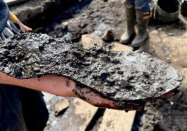 La grande scarpa recuperata nel forte romano Magna. Credit: Vindolanda Trust