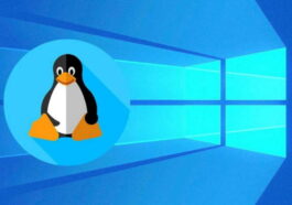 Les utilisateurs critiquent Windows 11 et Microsoft loue finalement Linux