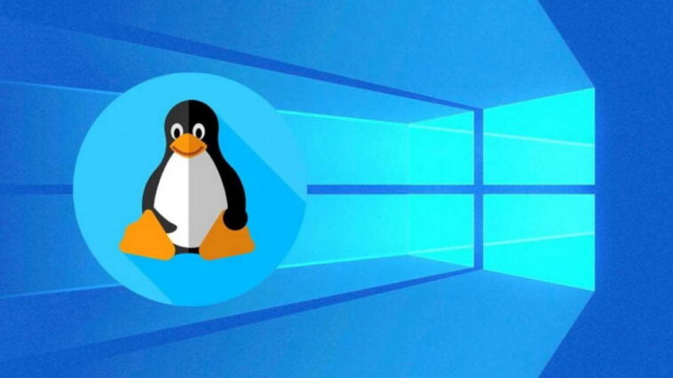 Les utilisateurs critiquent Windows 11 et Microsoft loue finalement Linux 1 Les utilisateurs critiquent Windows 11 et Microsoft loue finalement Linux