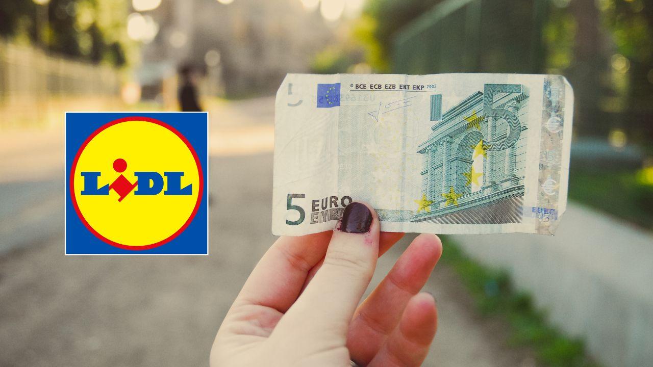 Pourquoi les coupons de LIDL Plus ne fonctionnent pas 2 5 euros lidl